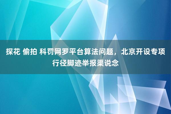 探花 偷拍 科罚网罗平台算法问题，北京开设专项行径脚迹举报渠说念