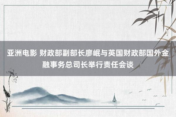 亚洲电影 财政部副部长廖岷与英国财政部国外金融事务总司长举行责任会谈