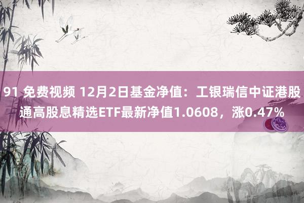 91 免费视频 12月2日基金净值：工银瑞信中证港股通高股息精选ETF最新净值1.0608，涨0.47%