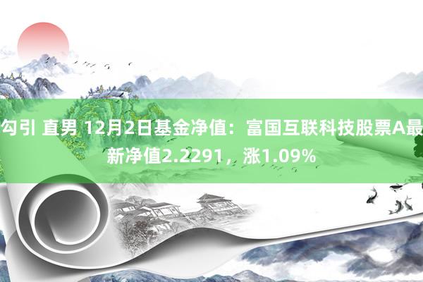 勾引 直男 12月2日基金净值：富国互联科技股票A最新净值2.2291，涨1.09%