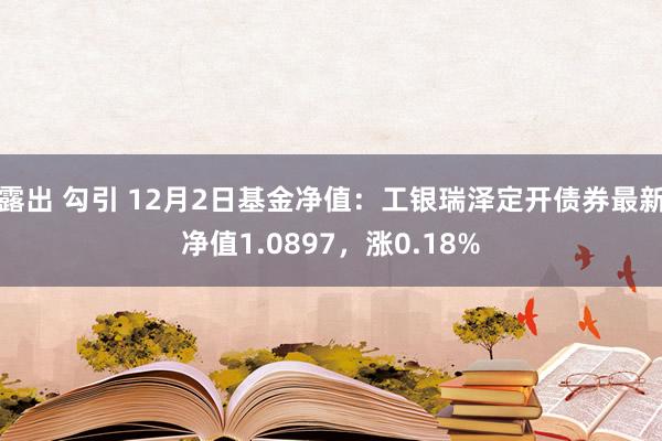 露出 勾引 12月2日基金净值：工银瑞泽定开债券最新净值1.0897，涨0.18%