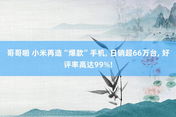 哥哥啪 小米再造“爆款”手机， 日销超66万台， 好评率高达99%!