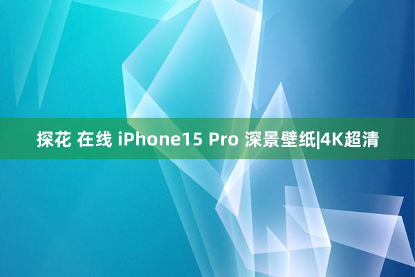 探花 在线 iPhone15 Pro 深景壁纸|4K超清