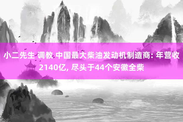 小二先生 调教 中国最大柴油发动机制造商: 年营收2140亿， 尽头于44个安徽全柴