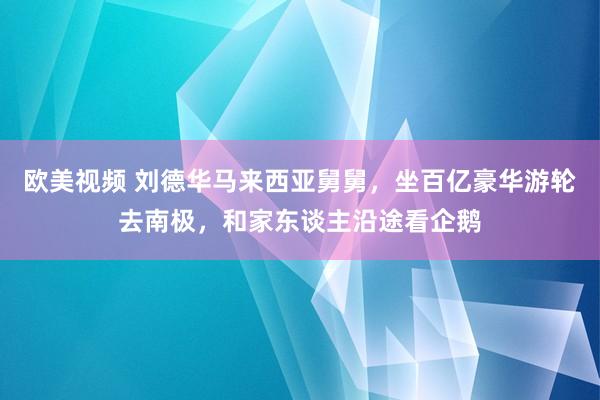 欧美视频 刘德华马来西亚舅舅，坐百亿豪华游轮去南极，和家东谈主沿途看企鹅