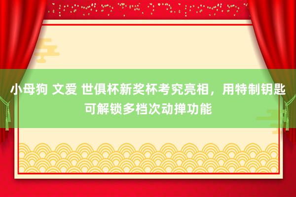 小母狗 文爱 世俱杯新奖杯考究亮相，用特制钥匙可解锁多档次动掸功能