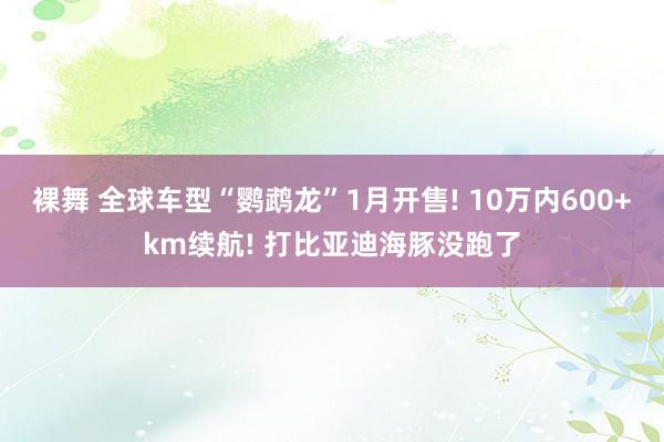 裸舞 全球车型“鹦鹉龙”1月开售! 10万内600+km续航! 打比亚迪海豚没跑了