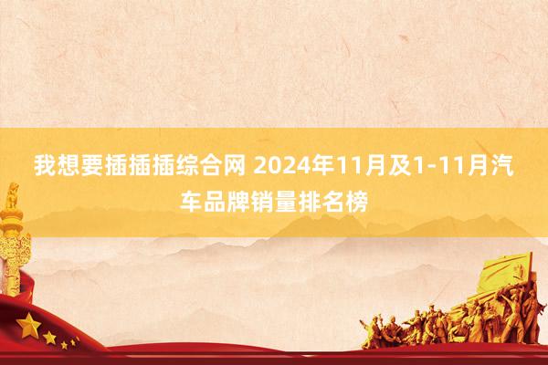 我想要插插插综合网 2024年11月及1-11月汽车品牌销量排名榜