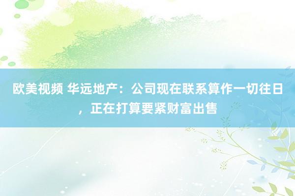 欧美视频 华远地产：公司现在联系算作一切往日，正在打算要紧财富出售