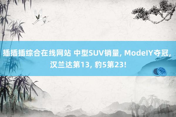 插插插综合在线网站 中型SUV销量， ModeIY夺冠， 汉兰达第13， 豹5第23!