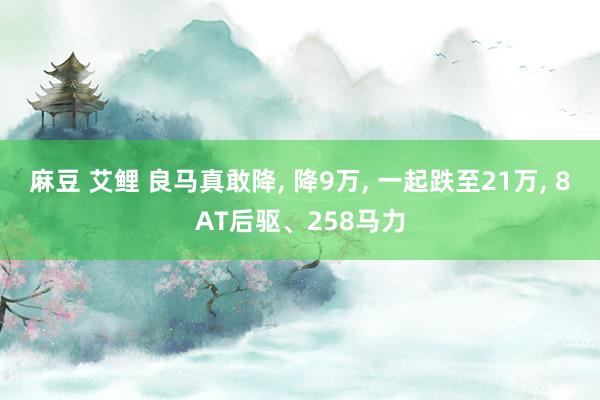 麻豆 艾鲤 良马真敢降， 降9万， 一起跌至21万， 8AT后驱、258马力