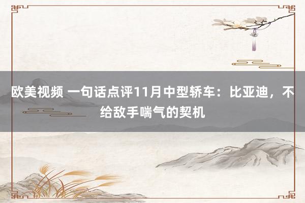 欧美视频 一句话点评11月中型轿车：比亚迪，不给敌手喘气的契机