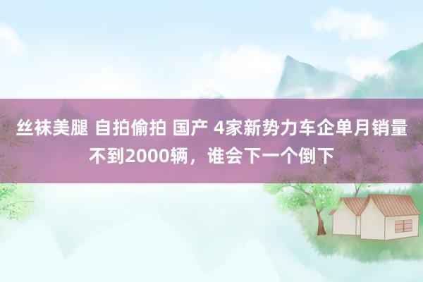 丝袜美腿 自拍偷拍 国产 4家新势力车企单月销量不到2000辆，谁会下一个倒下