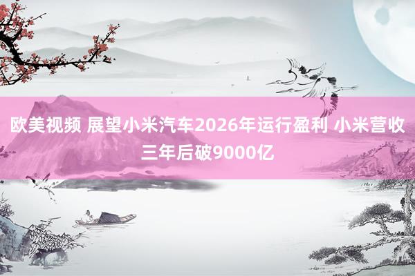 欧美视频 展望小米汽车2026年运行盈利 小米营收三年后破9000亿