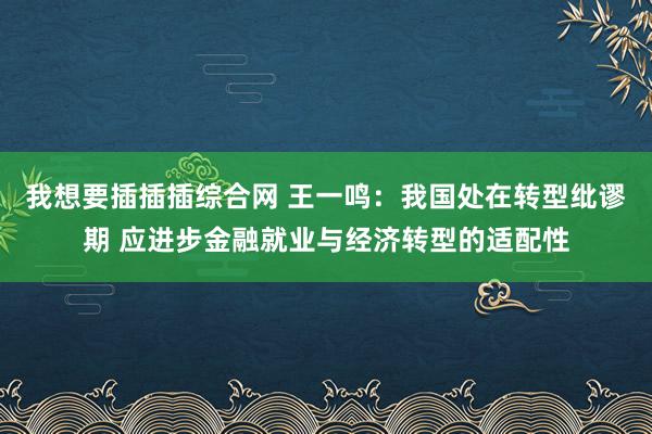 我想要插插插综合网 王一鸣：我国处在转型纰谬期 应进步金融就业与经济转型的适配性