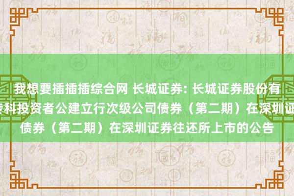 我想要插插插综合网 长城证券: 长城证券股份有限公司2024年面向专科投资者公建立行次级公司债券（第二期）在深圳证券往还所上市的公告