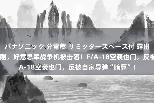 パナソニック 分電盤 リミッタースペース付 露出・半埋込両用形 刚刚，好意思军战争机被击落！F/A-18空袭也门，反被自家导弹“暗算”！