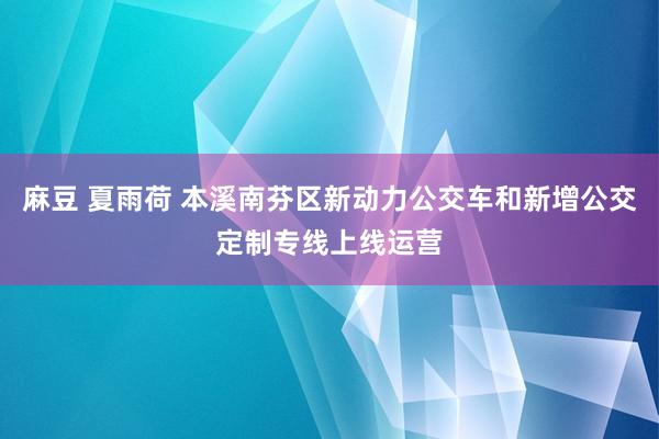 麻豆 夏雨荷 本溪南芬区新动力公交车和新增公交定制专线上线运营