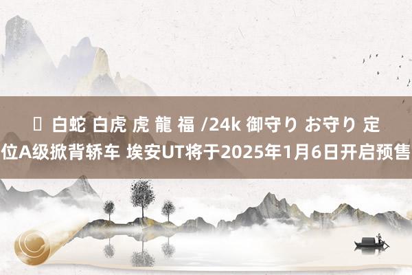 ✨白蛇 白虎 虎 龍 福 /24k 御守り お守り 定位A级掀背轿车 埃安UT将于2025年1月6日开启预售