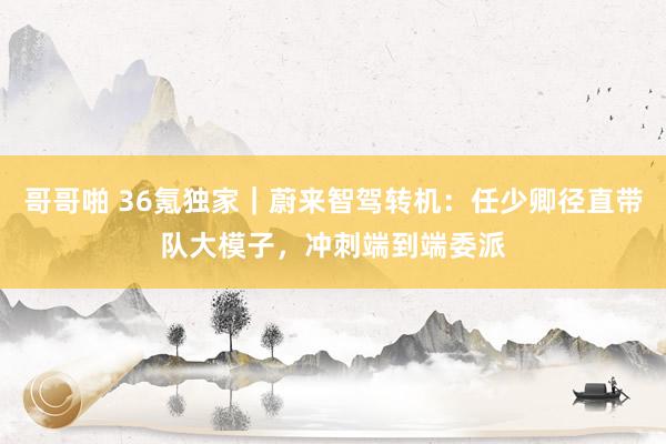 哥哥啪 36氪独家｜蔚来智驾转机：任少卿径直带队大模子，冲刺端到端委派