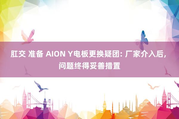 肛交 准备 AION Y电板更换疑团: 厂家介入后， 问题终得妥善措置