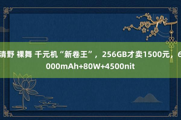 清野 裸舞 千元机“新卷王”，256GB才卖1500元，6000mAh+80W+4500nit