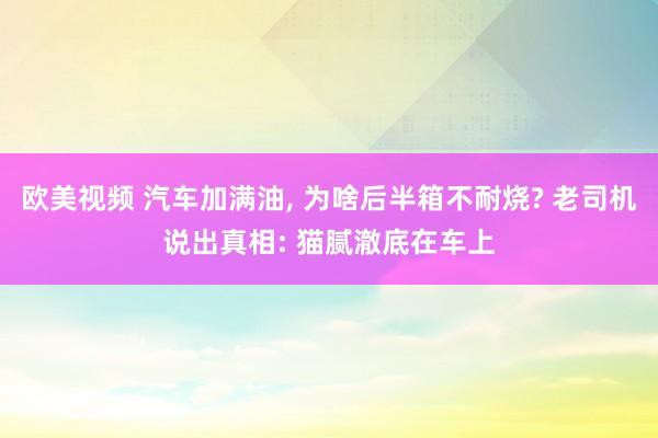 欧美视频 汽车加满油， 为啥后半箱不耐烧? 老司机说出真相: 猫腻澈底在车上