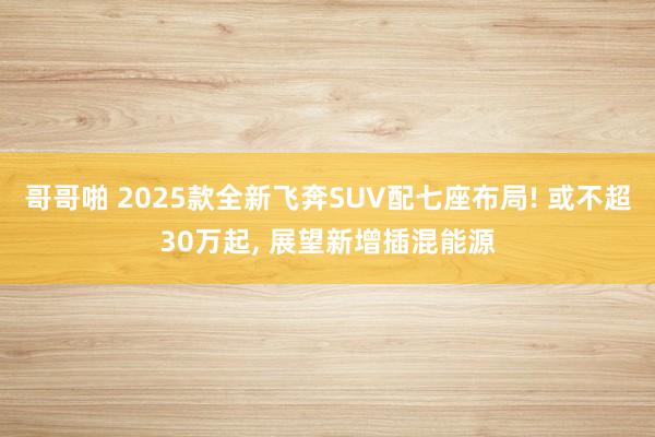 哥哥啪 2025款全新飞奔SUV配七座布局! 或不超30万起， 展望新增插混能源