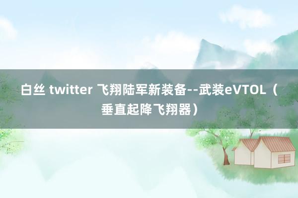 白丝 twitter 飞翔陆军新装备--武装eVTOL（垂直起降飞翔器）