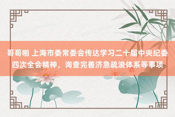 哥哥啪 上海市委常委会传达学习二十届中央纪委四次全会精神，询查完善济急疏浚体系等事项