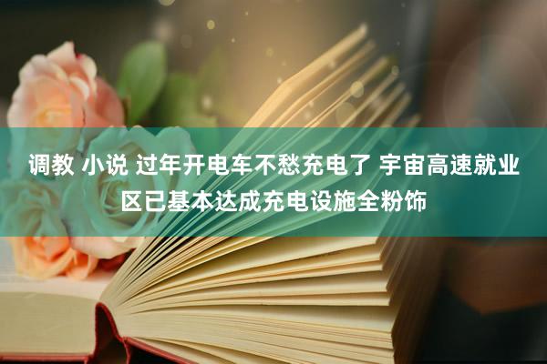 调教 小说 过年开电车不愁充电了 宇宙高速就业区已基本达成充电设施全粉饰