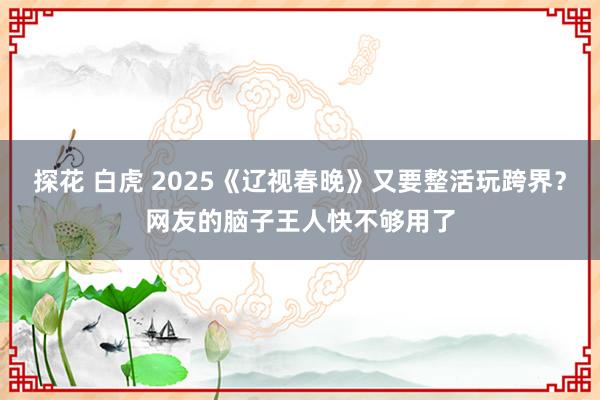 探花 白虎 2025《辽视春晚》又要整活玩跨界？网友的脑子王人快不够用了