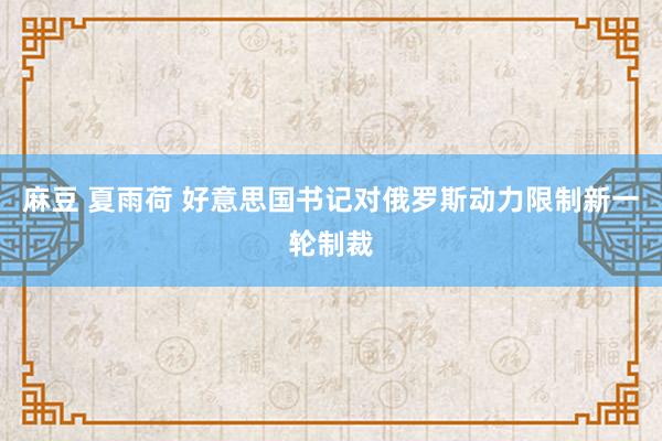 麻豆 夏雨荷 好意思国书记对俄罗斯动力限制新一轮制裁