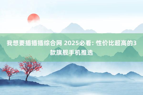 我想要插插插综合网 2025必看: 性价比超高的3款旗舰手机推选