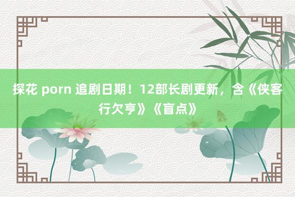 探花 porn 追剧日期！12部长剧更新，含《侠客行欠亨》《盲点》