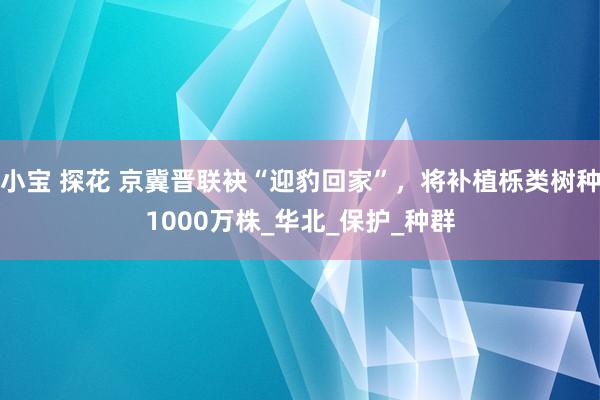 小宝 探花 京冀晋联袂“迎豹回家”，将补植栎类树种1000万株_华北_保护_种群