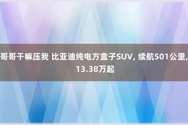 哥哥干嘛压我 比亚迪纯电方盒子SUV， 续航501公里， 13.38万起