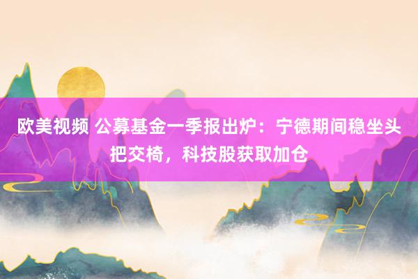 欧美视频 公募基金一季报出炉：宁德期间稳坐头把交椅，科技股获取加仓