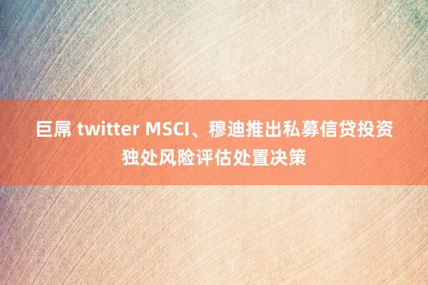 巨屌 twitter MSCI、穆迪推出私募信贷投资独处风险评估处置决策