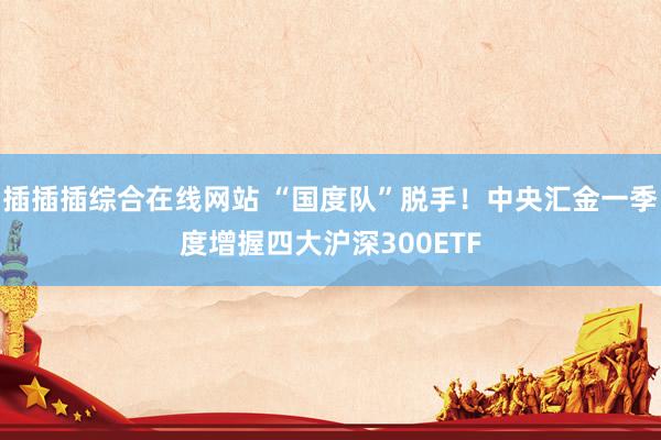 插插插综合在线网站 “国度队”脱手！中央汇金一季度增握四大沪深300ETF