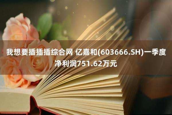 我想要插插插综合网 亿嘉和(603666.SH)一季度净利润751.62万元