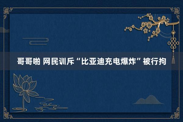 哥哥啪 网民训斥“比亚迪充电爆炸”被行拘